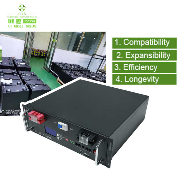 48V 24V LiFePO4 Solar Battery 100Ah 200Ah Long Cycle Life Energy Storage Battery for Home Solar Systems CTS