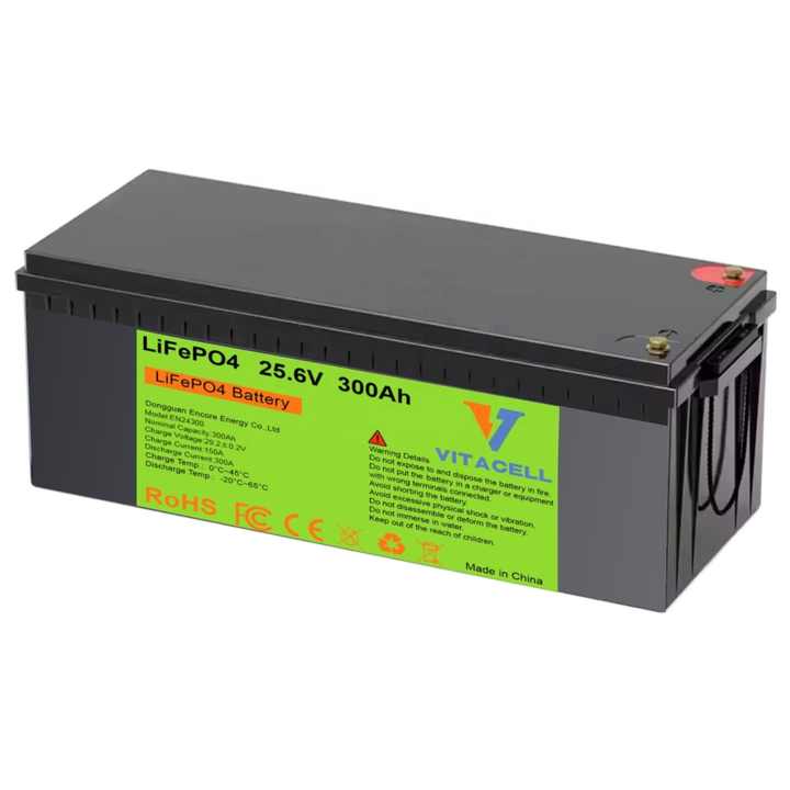 Encore 24V 300Ah Lithium Ion Battery Pack LiFePO4 12V 48V 100Ah 200Ah with BMS for Solar Energy Storage Systems Yacht Golf Cart