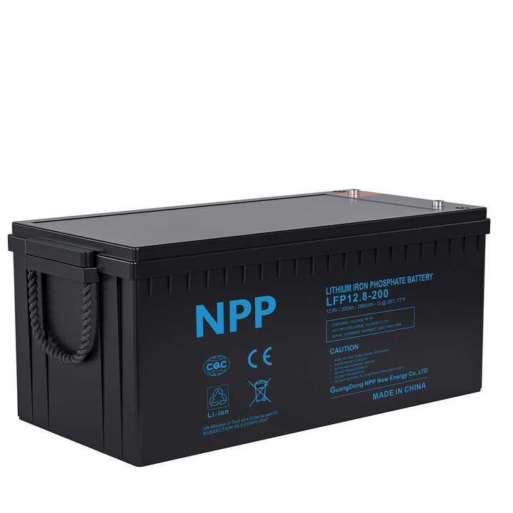 Lifepo4 12v Energy Storage Battery 24v 48v 50ah 100ah 200ah 300ah 400ah Lithium Iron Phosphate Battery with BMS for Solar Power Systems and Home Appliances NPP