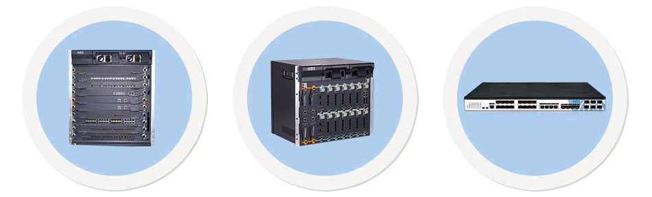PON System EPON GPON 10GEPON XGS-PON POL FTTH Safe City Solutions ZTT