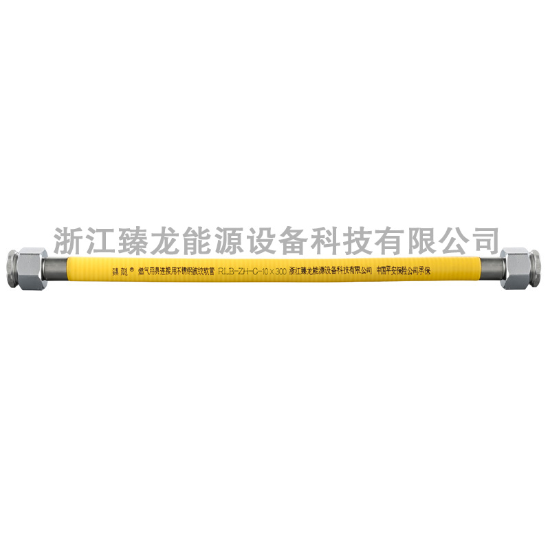 ZLR-10 Stainless Steel Braided Hose 304 Bellows with PVC Coating for Battery Energy Storage Systems