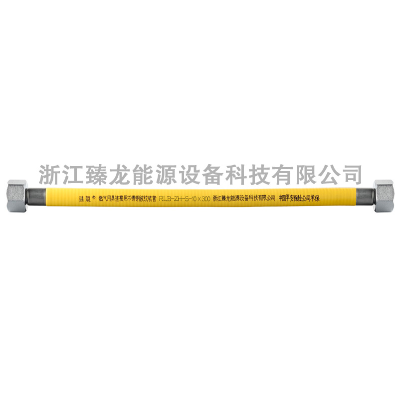 ZLR-08 Stainless Steel Braided Hose 304 Bellows with PVC Coating for Battery Energy Storage Systems