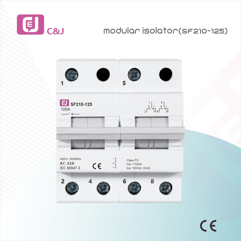 Factory Supply SF210-125 2P Electrical DIN Rail Mini Modular Isolator for Circuit Protection in Household and Industrial Applications