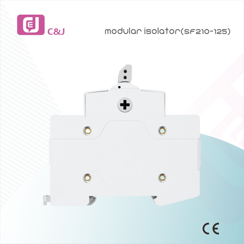 Factory Supply SF210-125 2P Electrical DIN Rail Mini Modular Isolator for Circuit Protection in Household and Industrial Applications