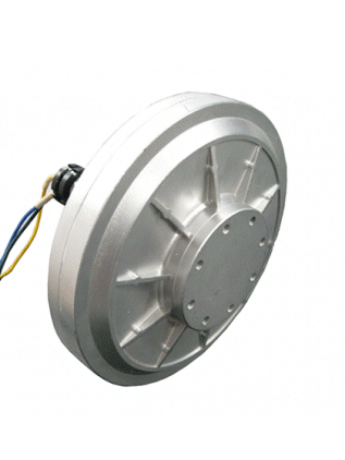 300W Permanent Magnet Generator Low Start-Up Torque Coreless High Efficiency for Renewable Energy Systems