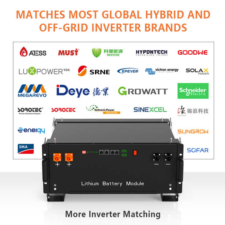 48V Inverter Lithium Phosphate Battery 200Ah 51.2V 8000+ Cycles Off-Grid Hybrid On-Grid Solar Storage System with Built-in BMS and Cables Lithtech