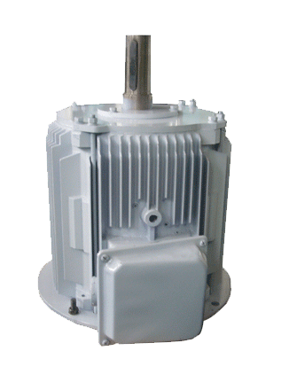 10kW 250RPM Vertical PMG Alternator High-Efficiency Wind Turbine Generator with NdFeB Magnets for Renewable Energy Systems