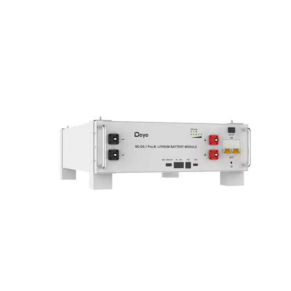Deye SE-G5.1 Pro-B 5kWh Lithium Battery 48V 100Ah LiFePO4 Energy Storage System for Residential and Commercial Use Deye Battery
