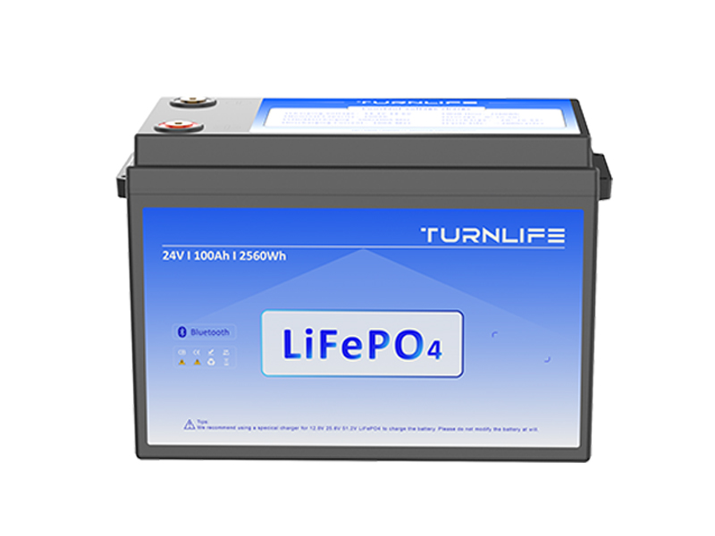 QSL24100 25.6V 100Ah LiFePO4 Battery Module for Residential & Commercial Energy Storage Systems