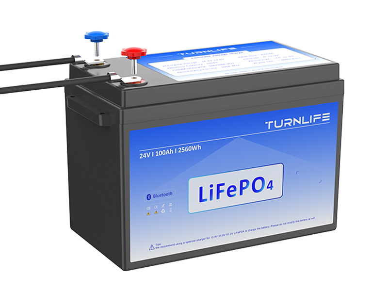 QSL24100 25.6V 100Ah LiFePO4 Battery Module for Residential & Commercial Energy Storage Systems