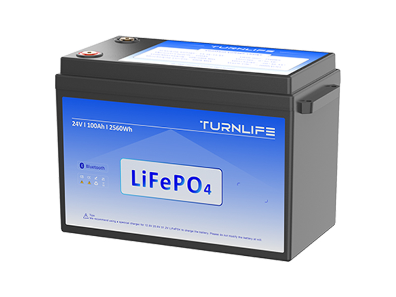 QSL24100 25.6V 100Ah LiFePO4 Battery Module for Residential & Commercial Energy Storage Systems