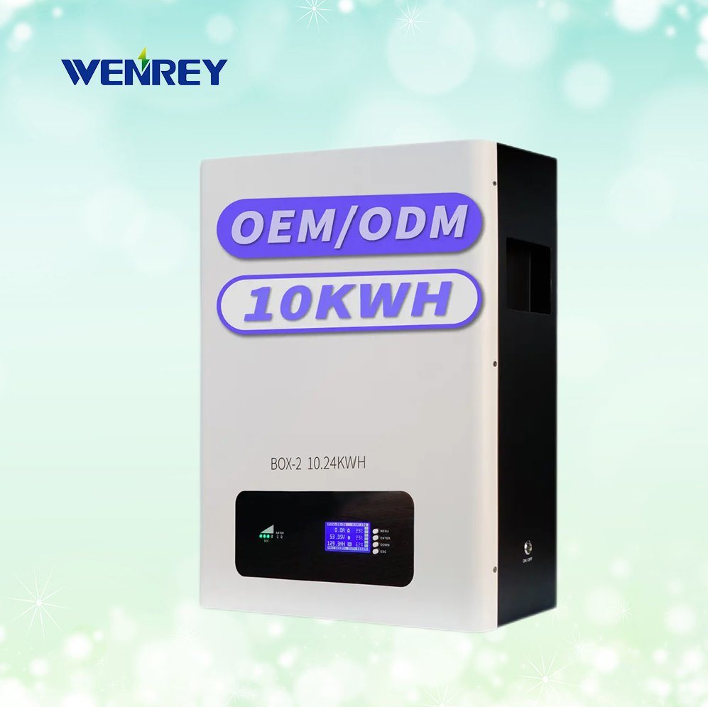 48V 100Ah 200Ah Wall Mounted Lithium Ion LiFePO4 Battery 5kWh 10kWh Solar Energy Storage System