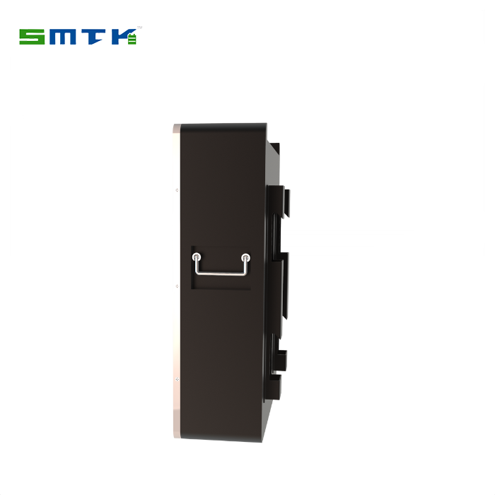 10KWH Solar Power Wall Battery LiFePO4 100A Smart BMS 6000+ Cycles Home Energy Storage System