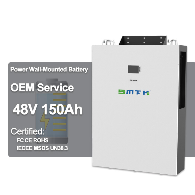 10KWH Solar Power Wall Battery LiFePO4 100A Smart BMS 6000+ Cycles Home Energy Storage System