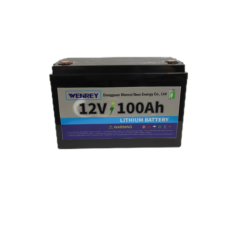 12V 100Ah Smart Solar Energy Storage Battery Pack Sodium Ion LiFePO4 Off-Grid Solar Systems WENREY