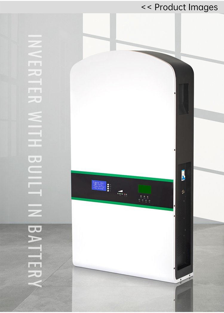 Wenrey OEM Design 6.14kWh 10kWh 20kWh 30kWh 40kWh 120Ah Stackable Wall Mounted LiFePO4 Battery for Home Energy Storage Pure Sine Wave External Battery with MPPT Controller WENREY