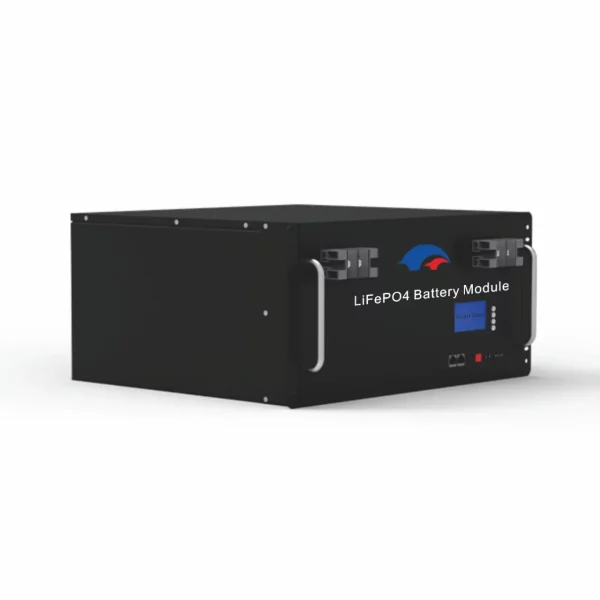 51.2V 50AH Rack Mount LiFePO4 Battery 2.56Kwh High-Density Energy Storage for Solar Backup Power YY4850HR