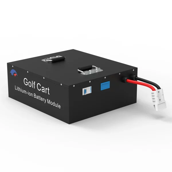 51.2V 100AH Golfcart LiFePO4 Battery High-Capacity Long-Life Deep Cycle for Golf Carts and EVs Yuyang