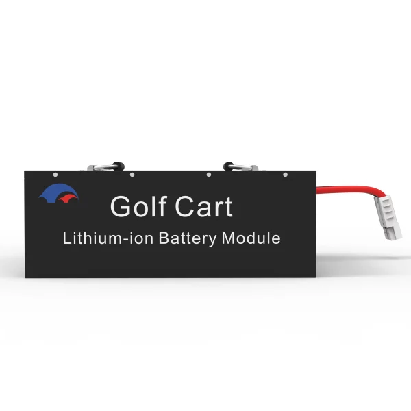 51.2V 100AH Golfcart LiFePO4 Battery High-Capacity Long-Life Deep Cycle for Golf Carts and EVs Yuyang
