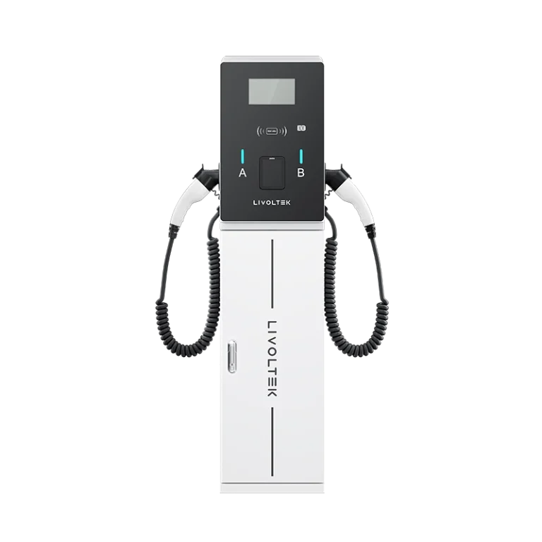 Bush Series AC EV Charger 2*22kW/2*7.3kW IP55 Rated Dual Gun with Display for Public Charging Stations LIVOLTEK