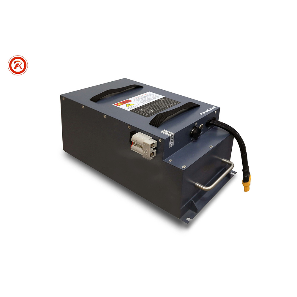 AGV Battery 24V/36V/48V LiFePO4 High Energy Density for Automated Guided Vehicles Richye
