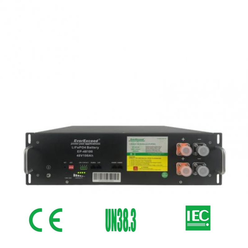 100ah Solar Rechargeable Lithium-Ion/Li-ion/Lithium Battery Pack Cell LiFePO4 High-Cycle Life 48V for Energy Storage Systems EverExceed