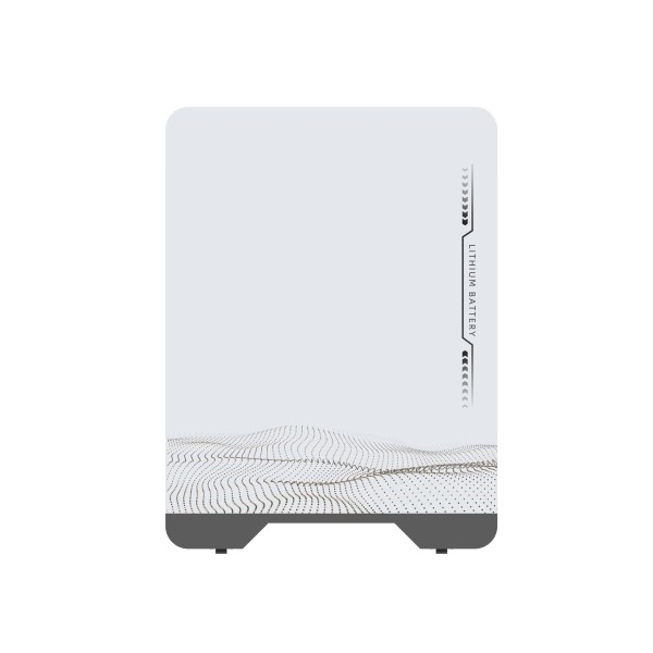 Household Energy Storage System 48V 51.2V 100Ah LFP Battery Pack Wall-Mounted for Home Backup Power
