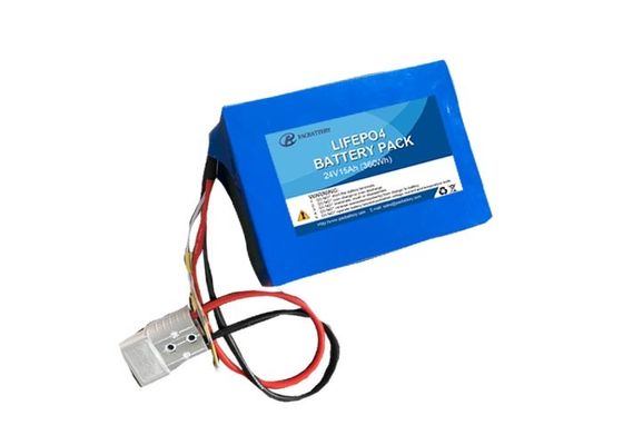 Lithium Phosphate Electric Vehicle Battery 25.6V 15Ah with Smart BMS for Electric Rickshaw PAC Battery