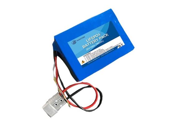 Lithium Phosphate Electric Vehicle Battery 25.6V 15Ah with Smart BMS for Electric Rickshaw PAC Battery