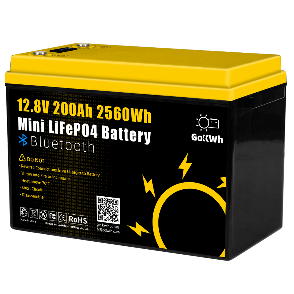 GoKWh 12V 200Ah LiFePO4 Battery 2560Wh Built-in BMS & Bluetooth for Solar Storage and Off-Grid Systems