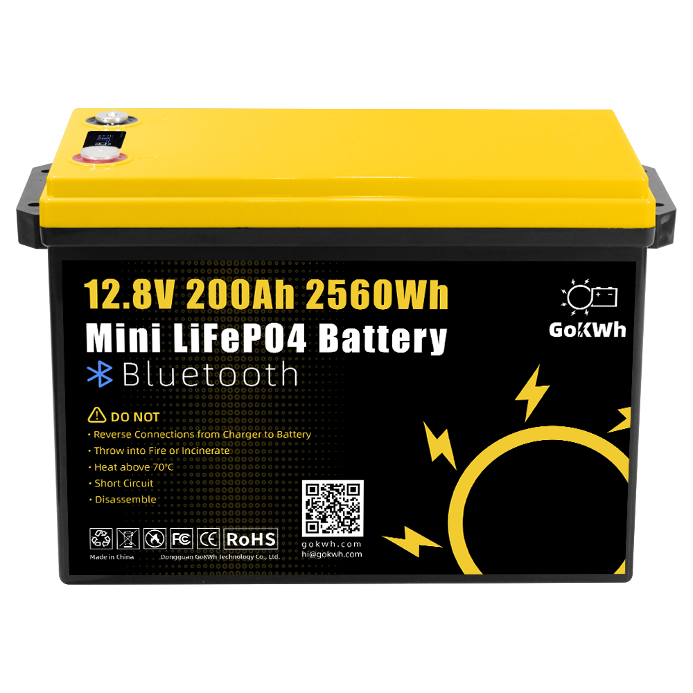 GoKWh 12V 200Ah LiFePO4 Battery 2560Wh Built-in BMS & Bluetooth for Solar Storage and Off-Grid Systems