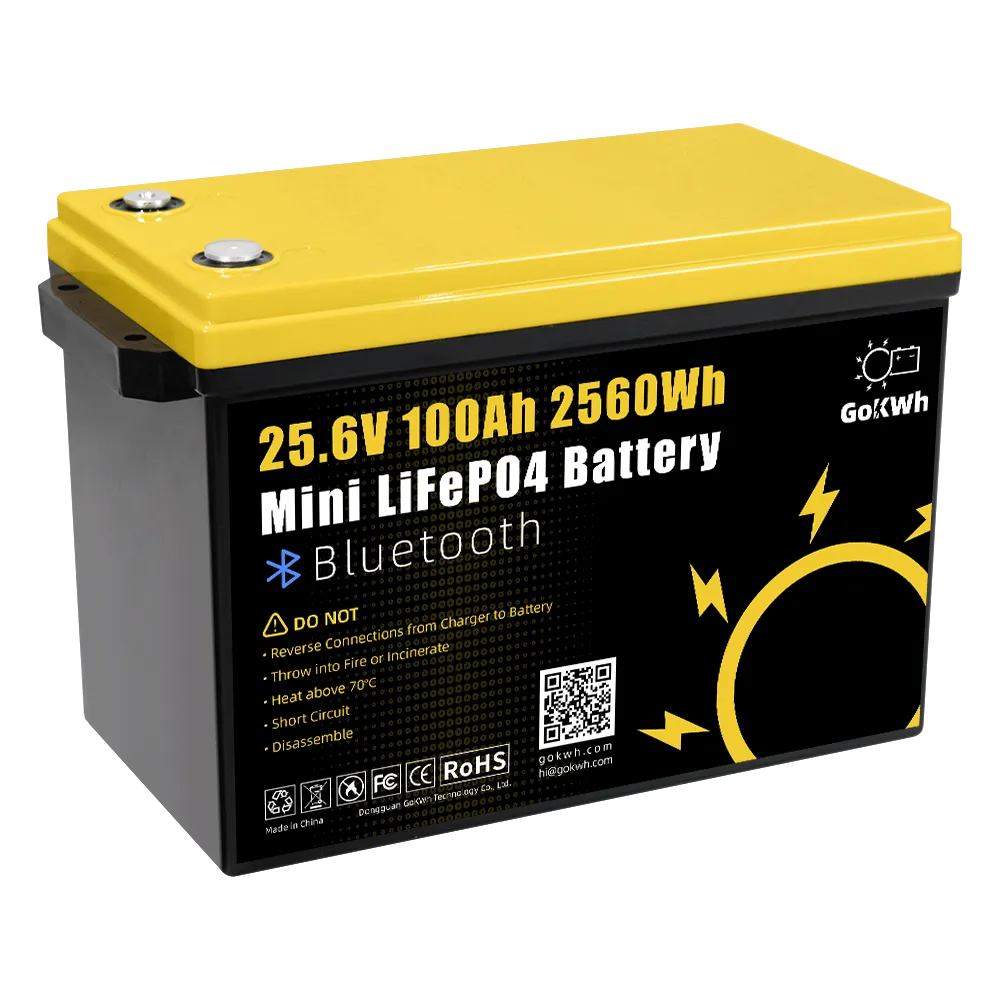 LiFePO4 Battery 24V 100Ah Mini Bluetooth 4000 Cycles Outdoor Home Energy Storage RV GoKWh