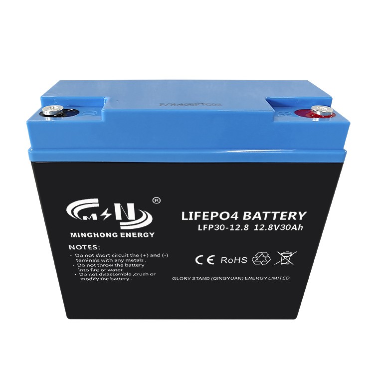 12v 30ah Lifepo4 Battery Pack High-Cycle Life, Customizable Shell for Solar Storage and Backup Power