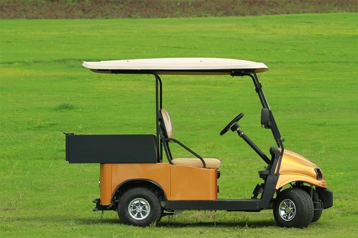Golf Cart Lithium Battery 12.8V/38.4V/48V LFP Long Life Cycle Drop-in Replacement for 36V 48V Golf Carts SES