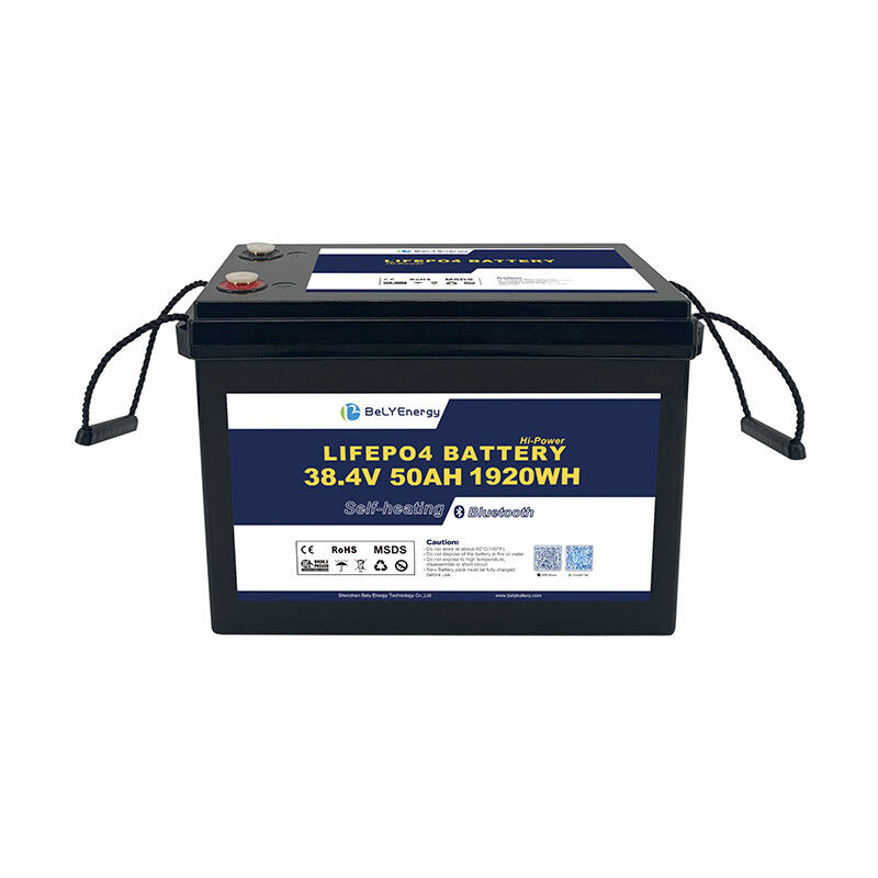 High-Performance 36V LiFePO4 Battery Pack 10 Year Lifespan 50A Discharge for Solar Marine RV BELY