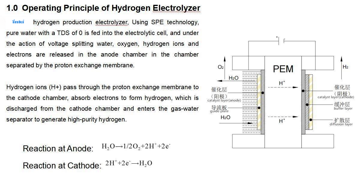 Pem Electrolytic Cell Electrolyser Generator Hydrogen details